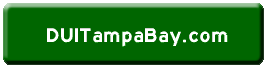 www.duitampabay.com